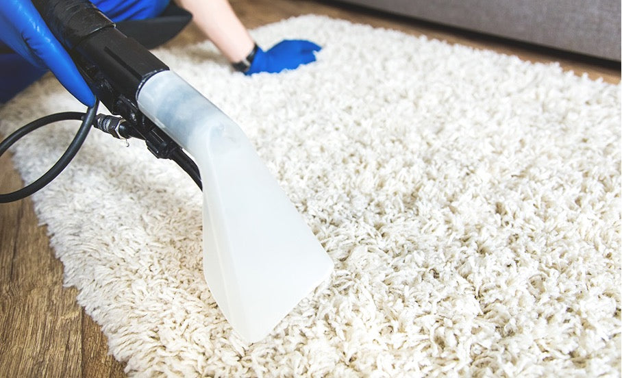 Online Study Suggests: Carpet & Rug Cleanliness Will Influence Visitor Confidence!